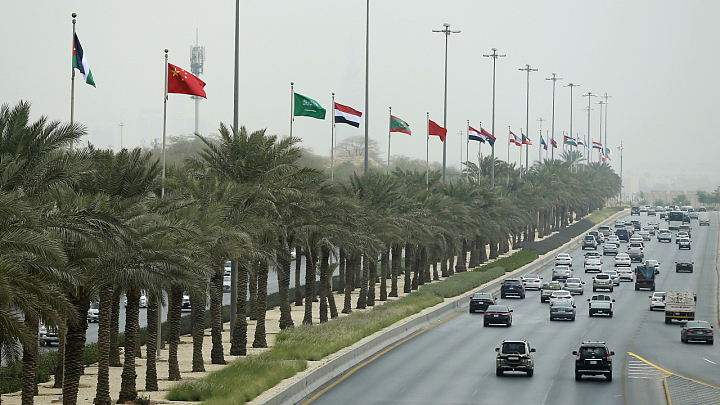 沙特与中国签下百亿美元大单，高合汽车成为最大赢家（组图） - 5