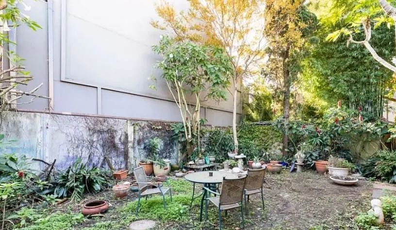 悉尼内城区废弃7年老屋拍卖，估价$250万！“杂草丛生，破败不堪，完全没法住”（组图） - 2