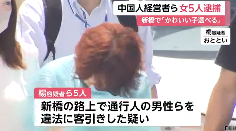 “我们这里可以真做噢！”64岁中国大妈在东京车站“拉客”，被日本警方逮捕（组图） - 4
