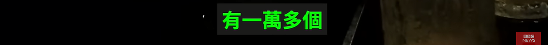 BBC暗访偷拍产业链的纪录片，到底都讲了啥（视频/组图） - 43