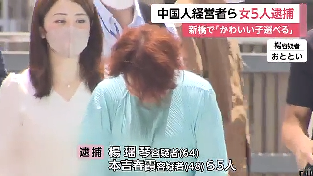 “我们这里可以真做噢！”64岁中国大妈在东京车站“拉客”，被日本警方逮捕（组图） - 2