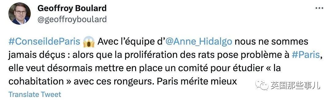 灭鼠计划又惨败，巴黎市长：我们与600万老鼠和谐相处吧（组图） - 9