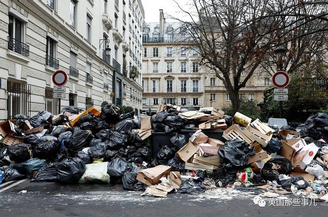 灭鼠计划又惨败，巴黎市长：我们与600万老鼠和谐相处吧（组图） - 14