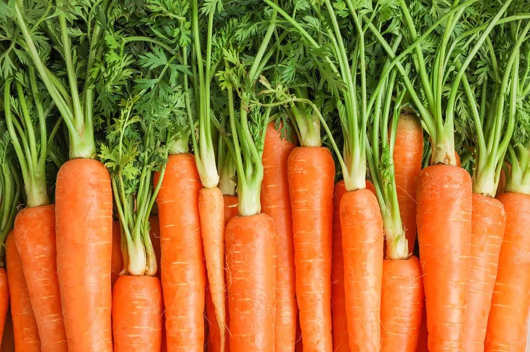 每天吃根胡萝卜会发生什么？视力真的会变好？免疫力真的会变强吗？（组图） - 1