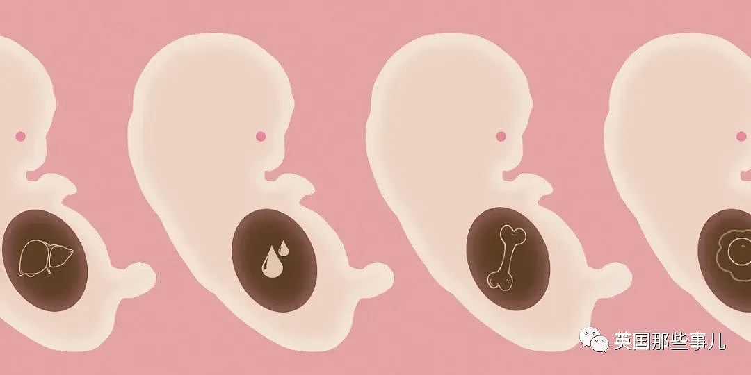 无需精子卵子，科学家成功合成出人类胚胎？人造宝宝指日可待（组图） - 2