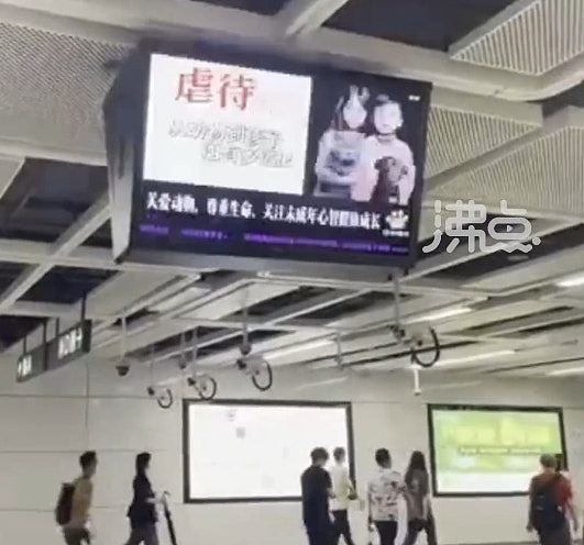深圳地铁投放反虐待动物广告，惟遭投诉称：猫狗一年咬伤4千万人（组图） - 4