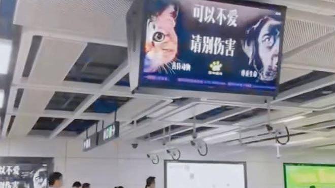 深圳地铁投放反虐待动物广告，惟遭投诉称：猫狗一年咬伤4千万人（组图） - 1