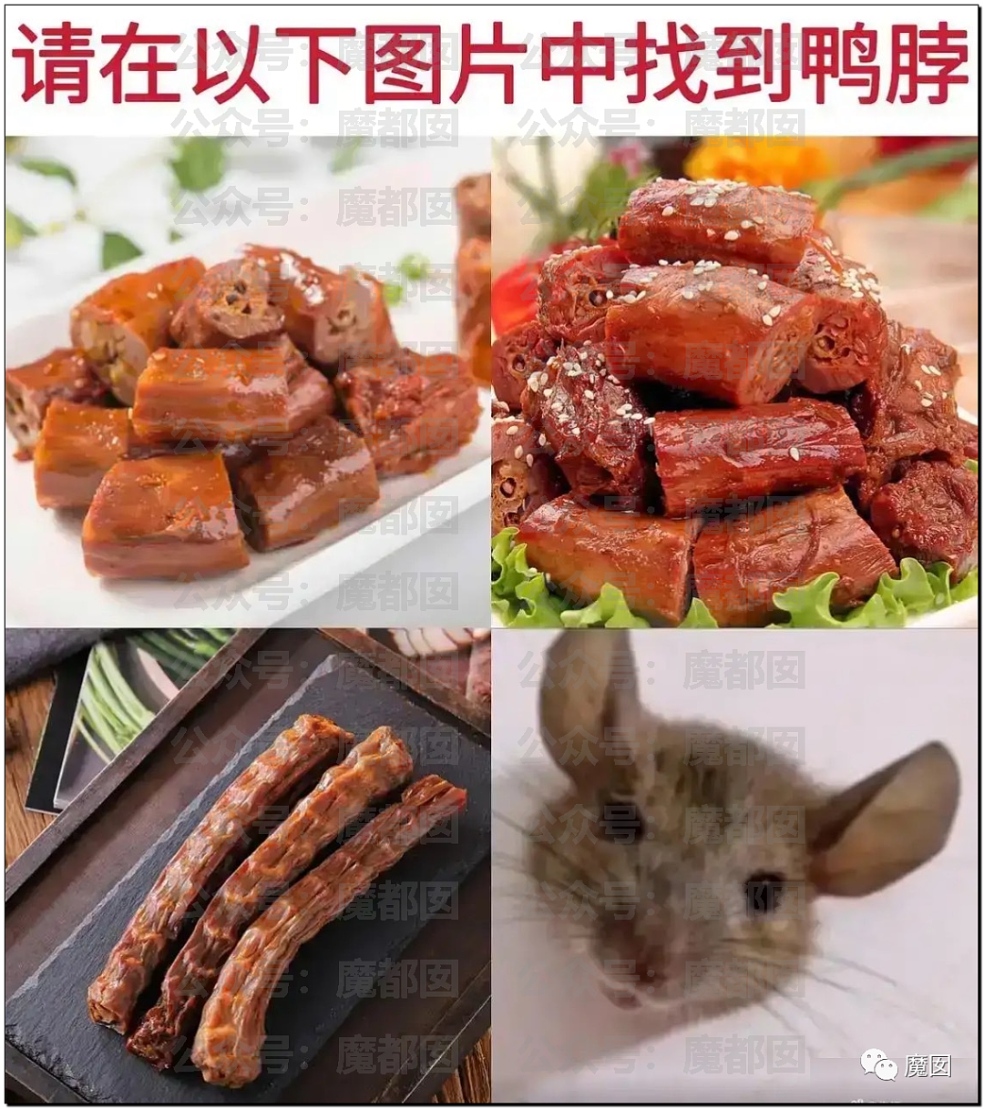 情况“鼠”实！“鼠头鸭脖”事件最终结果公布，联合调查组认定饭菜中异物为鼠头（组图） - 38