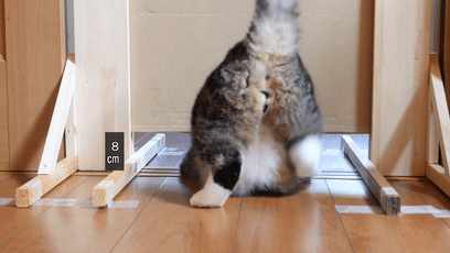 【宠物】日本网友测试猫趴在地上可以有多扁，看到最后快被萌死了（组图） - 9