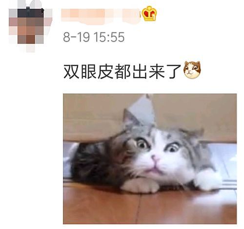 【宠物】日本网友测试猫趴在地上可以有多扁，看到最后快被萌死了（组图） - 14