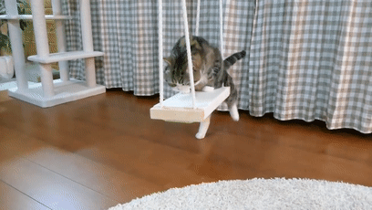 【宠物】日本网友测试猫趴在地上可以有多扁，看到最后快被萌死了（组图） - 28