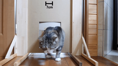 【宠物】日本网友测试猫趴在地上可以有多扁，看到最后快被萌死了（组图） - 23