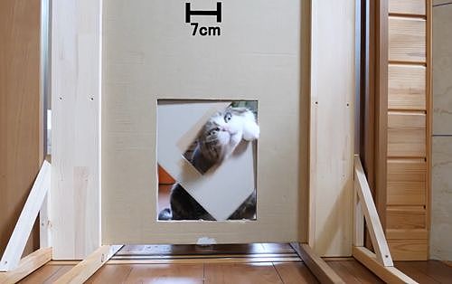 【宠物】日本网友测试猫趴在地上可以有多扁，看到最后快被萌死了（组图） - 24