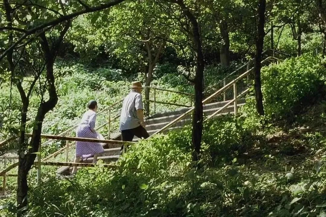 96年东北女孩，在日本伺候老人5年：养老这块，日本走在很前面（组图） - 31