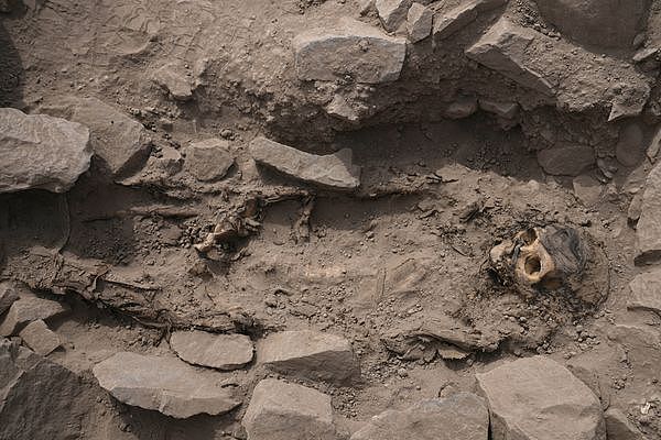 秘鲁挖出3000年前木乃伊，身体被绑疑是活人献祭（图） - 1