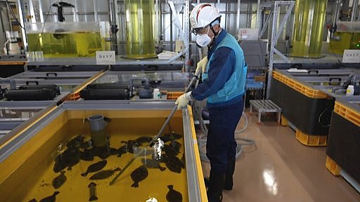 日本福岛核废水排海箭在弦上亚洲邻居反应激烈 “这不仅是经济问题，还是生死攸关”（组图） - 9