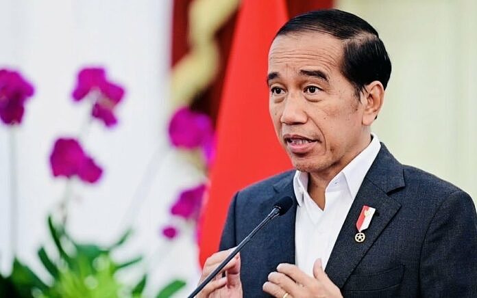 印尼总统宣布新冠肺炎降为地方流行病（图） - 1