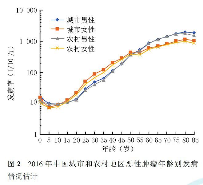 【健康】世卫组织：日本人不运动，却最健康长寿！原因值得中国人学习（组图） - 2