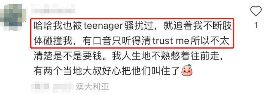 中国留学生在澳遭teenager抢劫，警方：是惯犯（组图） - 17