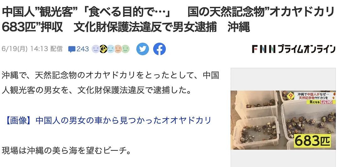 中国夫妻在冲绳旅游被逮捕，抓了680多只寄居蟹要煮来吃？日本民众：什么都敢吃啊！（组图） - 1
