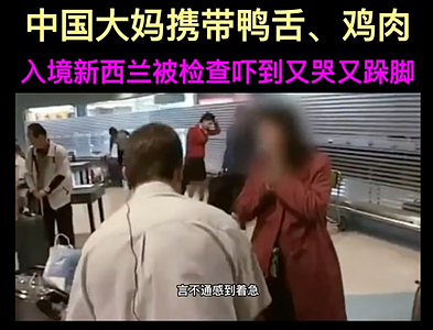 华人转机回国，行李箱中发出诡异声音，海关打开后竟发现…（组图） - 9