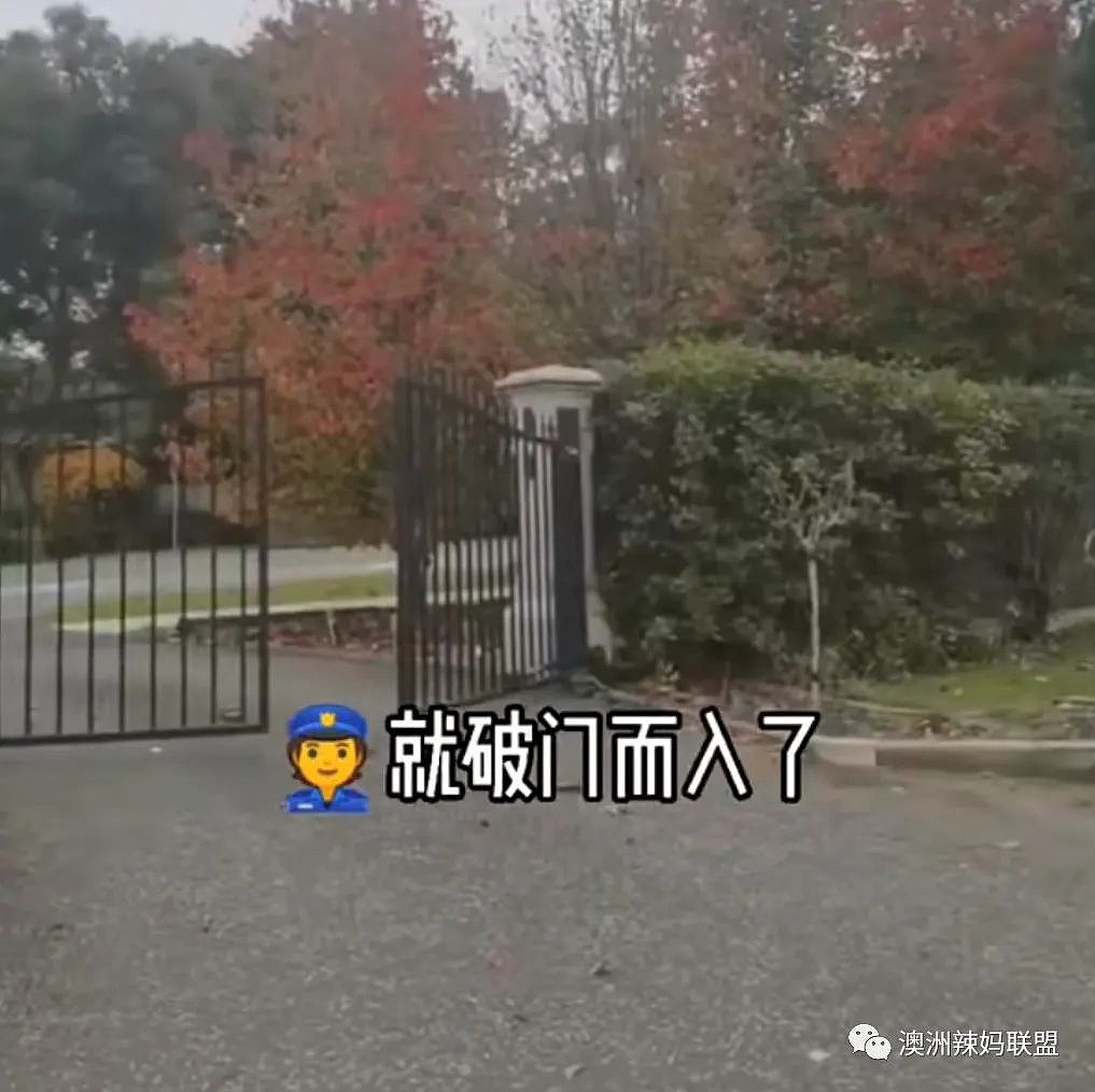 实惨！孩子上学后“露马脚”，悉尼妈妈被警察立即抓捕，在澳洲做爸妈是有风险的…（组图） - 13