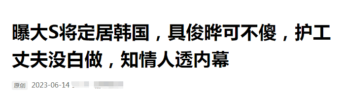 曝吸毒门后大S首现身！身坐轮椅被具俊晔推行，携带行李或将移民？（组图） - 11