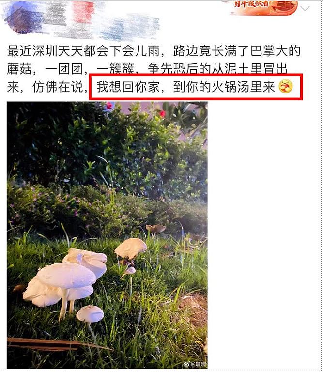 路边的蘑菇不要采：广东多地爆食用野生蘑菇中毒！上月5死15发病（组图） - 8