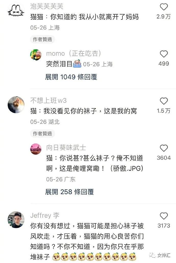 【爆笑】在X宝买了条禁欲系阔腿裤，试穿后...啊啊啊这也太离谱了（组图） - 25