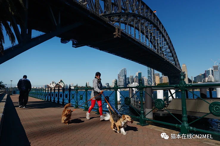 悉尼再次被评为最宜居城市之一！全球排名第四，但仍落后于墨尔本…（组图） - 2