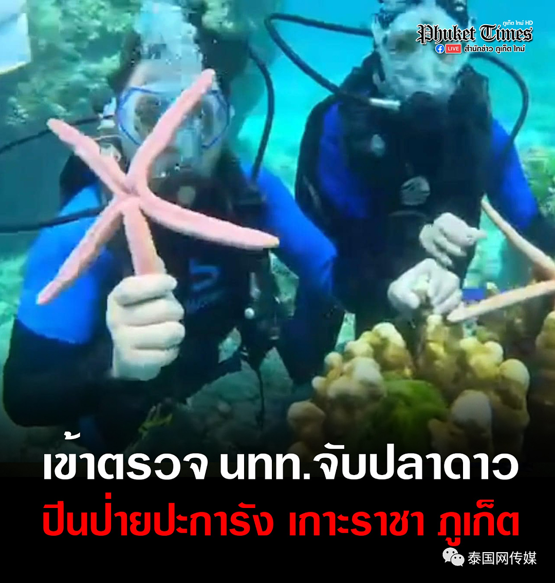恐怖重罚！中国游客在泰国爬珊瑚摸海星，最高坐牢2年或罚款20万泰铢……（组图） - 1