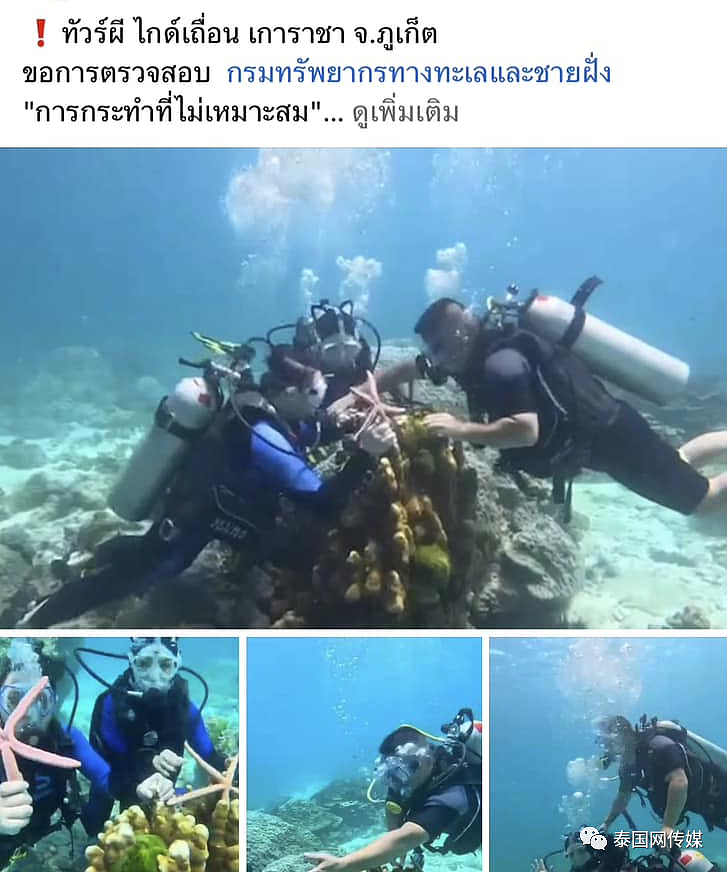 恐怖重罚！中国游客在泰国爬珊瑚摸海星，最高坐牢2年或罚款20万泰铢……（组图） - 9