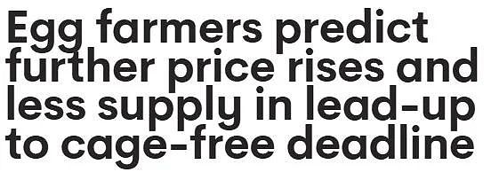 澳洲农民警告：超市鸡蛋恐将进一步涨价！部分品牌已卖到9刀一打（组图） - 1