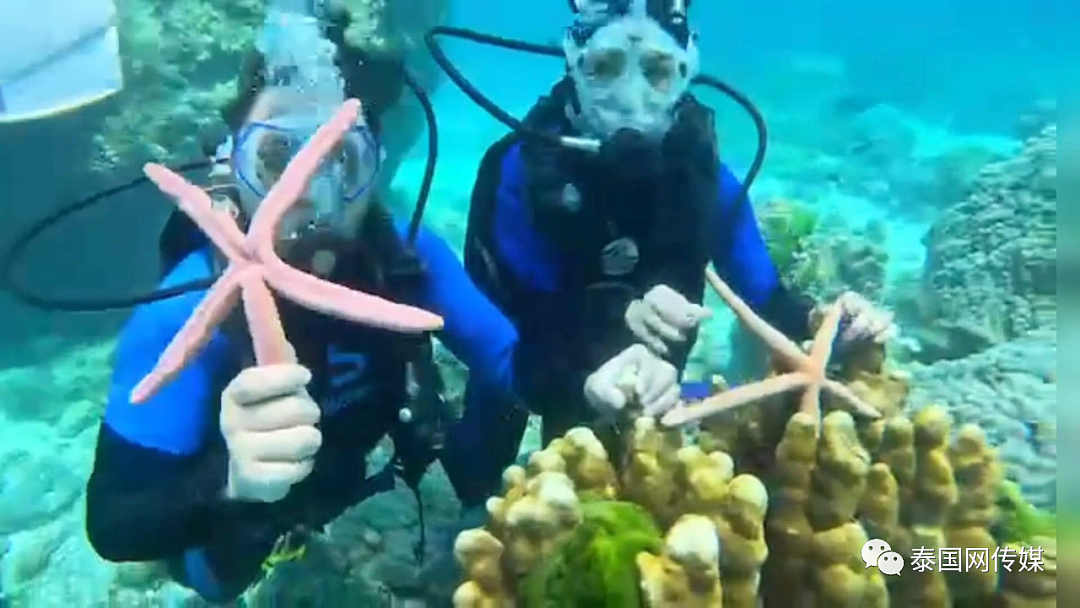 恐怖重罚！中国游客在泰国爬珊瑚摸海星，最高坐牢2年或罚款20万泰铢……（组图） - 4