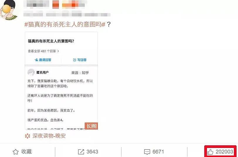 【宠物】“猫有杀死主人的意图吗？”这个答案感动20w网友（组图） - 3