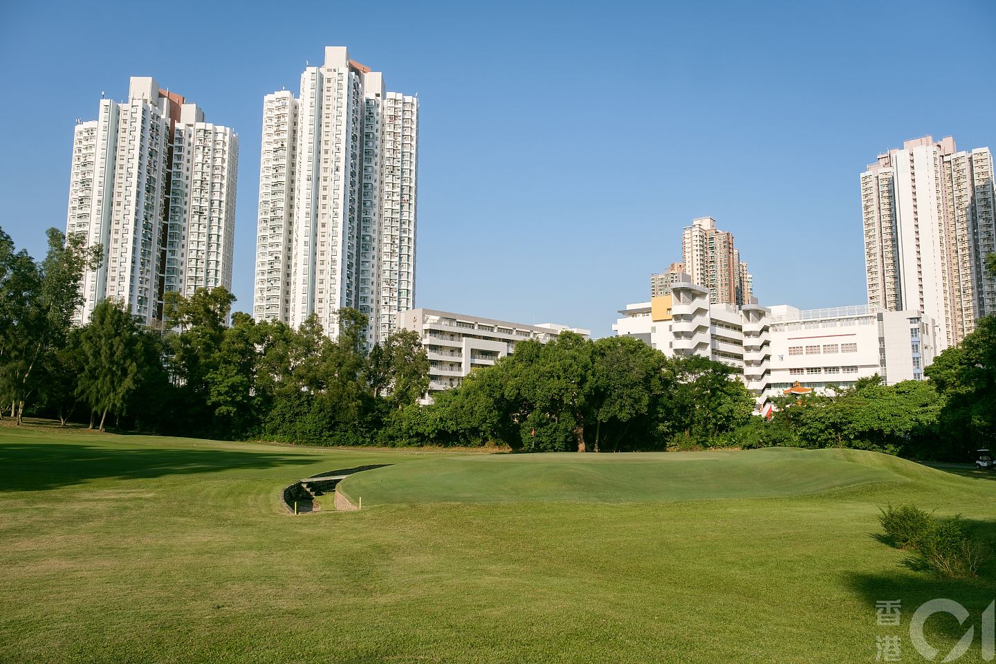 已移居澳洲港星叶丽仪吁保留粉岭高球场：确保下一代有同样经验（组图） - 7