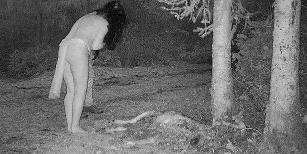 渗人！外国妹纸意外拍到森林裸女啃食动物尸体，网友的评论让人细思极恐...（组图） - 3