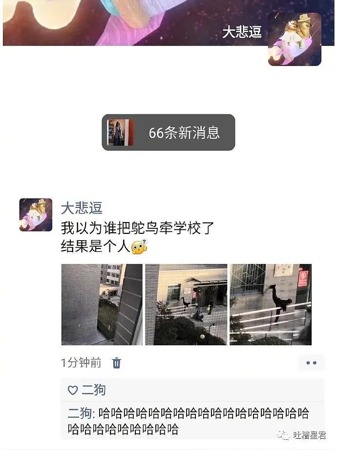 【爆笑】向佐叫郭碧婷大小姐自称保姆！结果...；网友：评论笋到家了（视频/组图） - 22