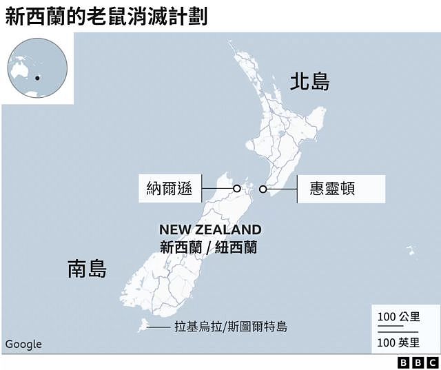 外媒：米拉玛无掠食者组织为拯救新西兰鸟类，决定实施灭鼠计划（组图） - 4