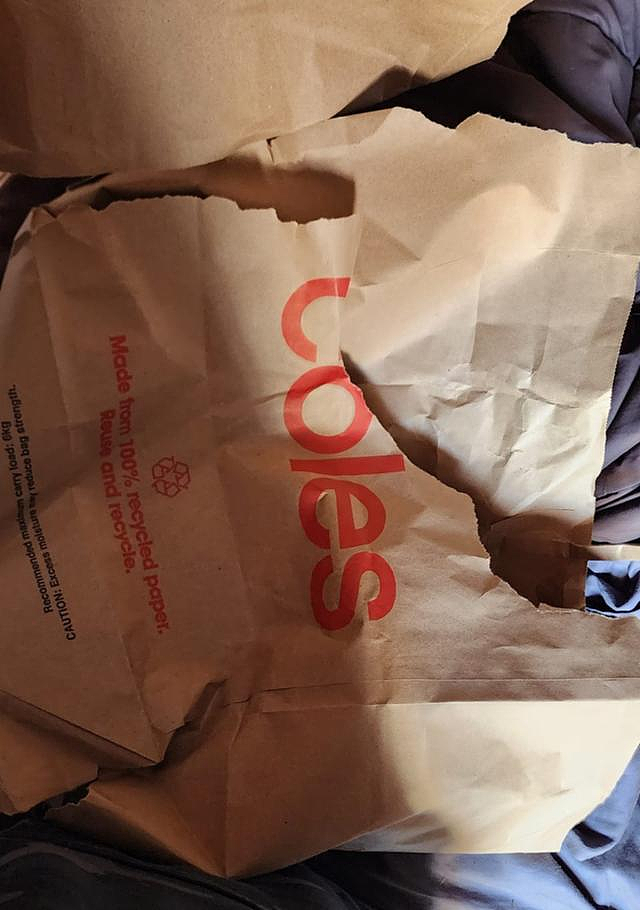 Coles纸袋被骂惨！顾客狠批“太娇贵”：一次就破，没法用（组图） - 5