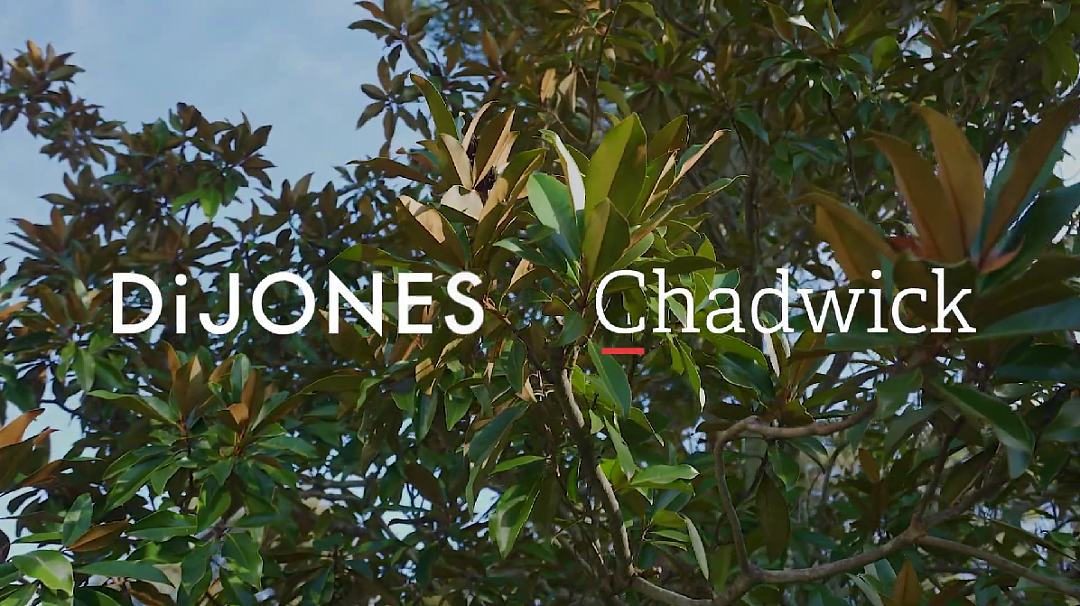 重磅合并！知名地产机构Di Jones成功完成对悉尼老牌中介Chadwick整体合并，打造Di Jones北区最强销售阵营 - 4