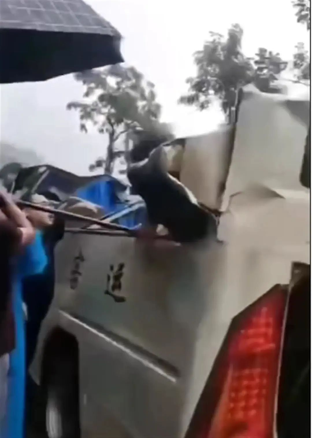 重庆一客车被落石砸中致6死9伤，对向车辆行车记录仪拍下事发瞬间（视频/组图） - 4