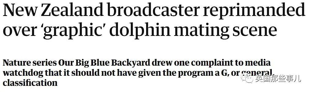 电视台播海洋纪录片遭观众投诉：海豚交配是儿童不宜画面！…这？（组图） - 4