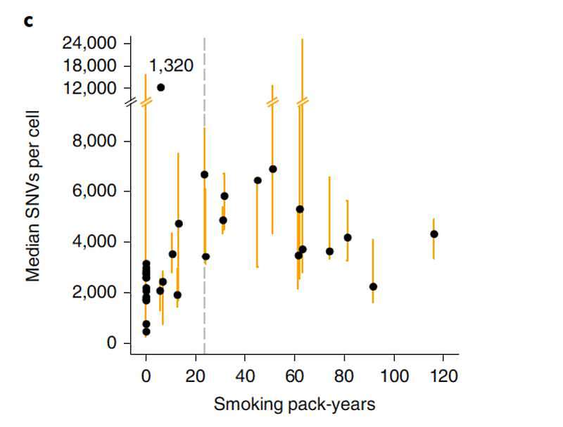 为什么吸了几十年的老烟枪，反而不得肺癌？答案来了（组图） - 3