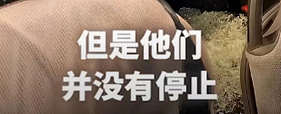 超1300人被捕！中国女游客亲历大巴遭袭：黑衣人狂追猛砸，靠一个办法逃生（组图） - 4