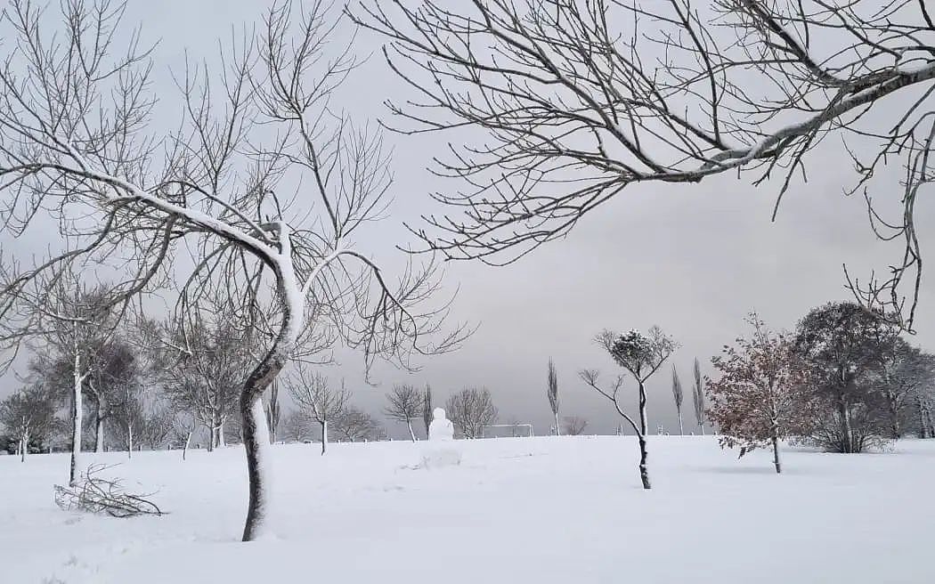 已发警报，奥克兰北岸大桥或关闭，晚高峰请注意！10年一遇大雪，农场受重（组图） - 5