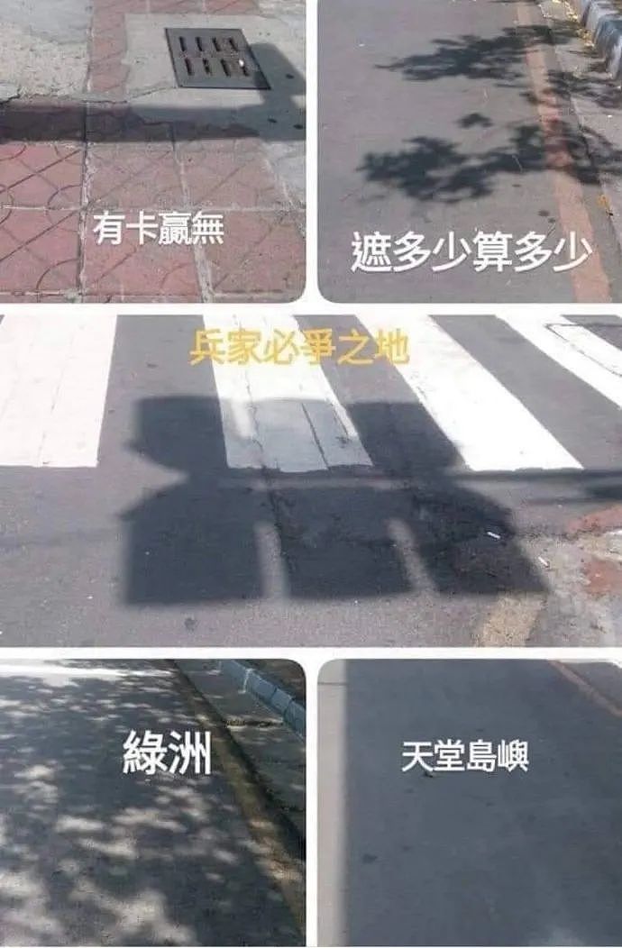 【爆笑】“女生用油腻撩人套路聊天翻车...”哈哈哈哈哈尬的我头皮发麻（组图） - 76