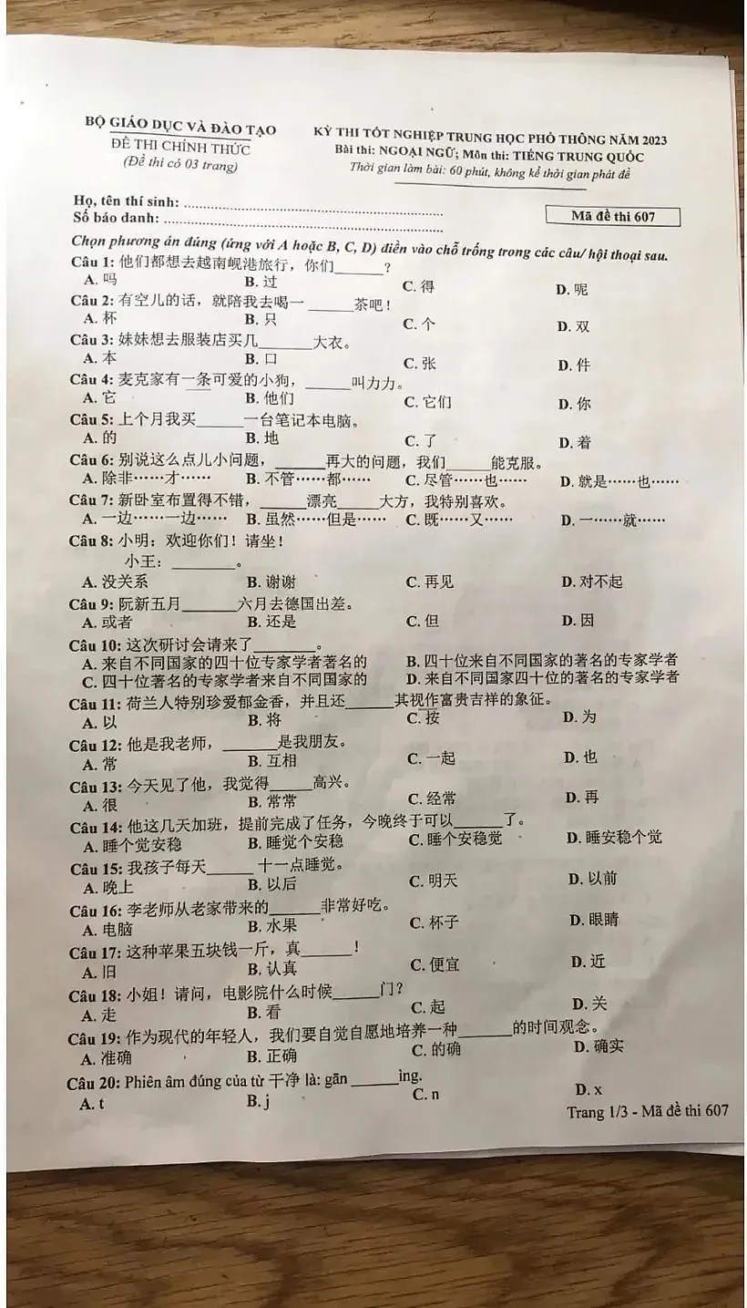 越南高考中文题冲上热搜，华裔老师：最难的是它（组图） - 1