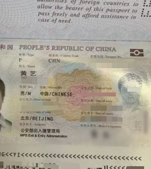 “我生不如死！”因签证造假，中国男子被拘留在“这国”，他绝食抗议1个月（组图） - 2