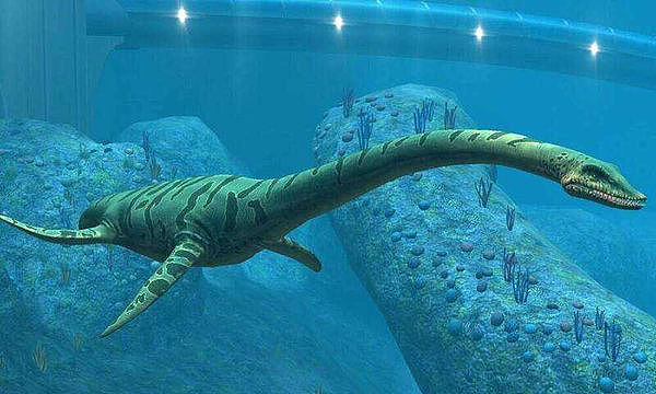 澳洲牧场挖出7公尺巨大水怪遗骸！专家揭惊人身分：太罕见（组图） - 3